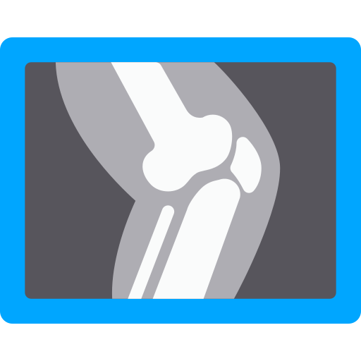 Watches, Bags, Jewellery